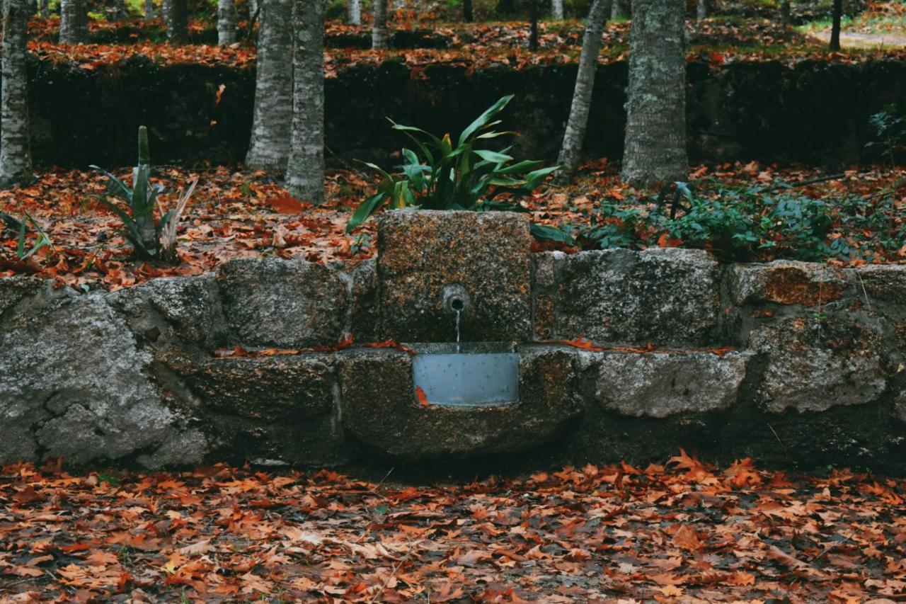 Quinta Das Fontes - Alojamento Rustico Local E Turismo Rural São Pedro do Sul Eksteriør billede