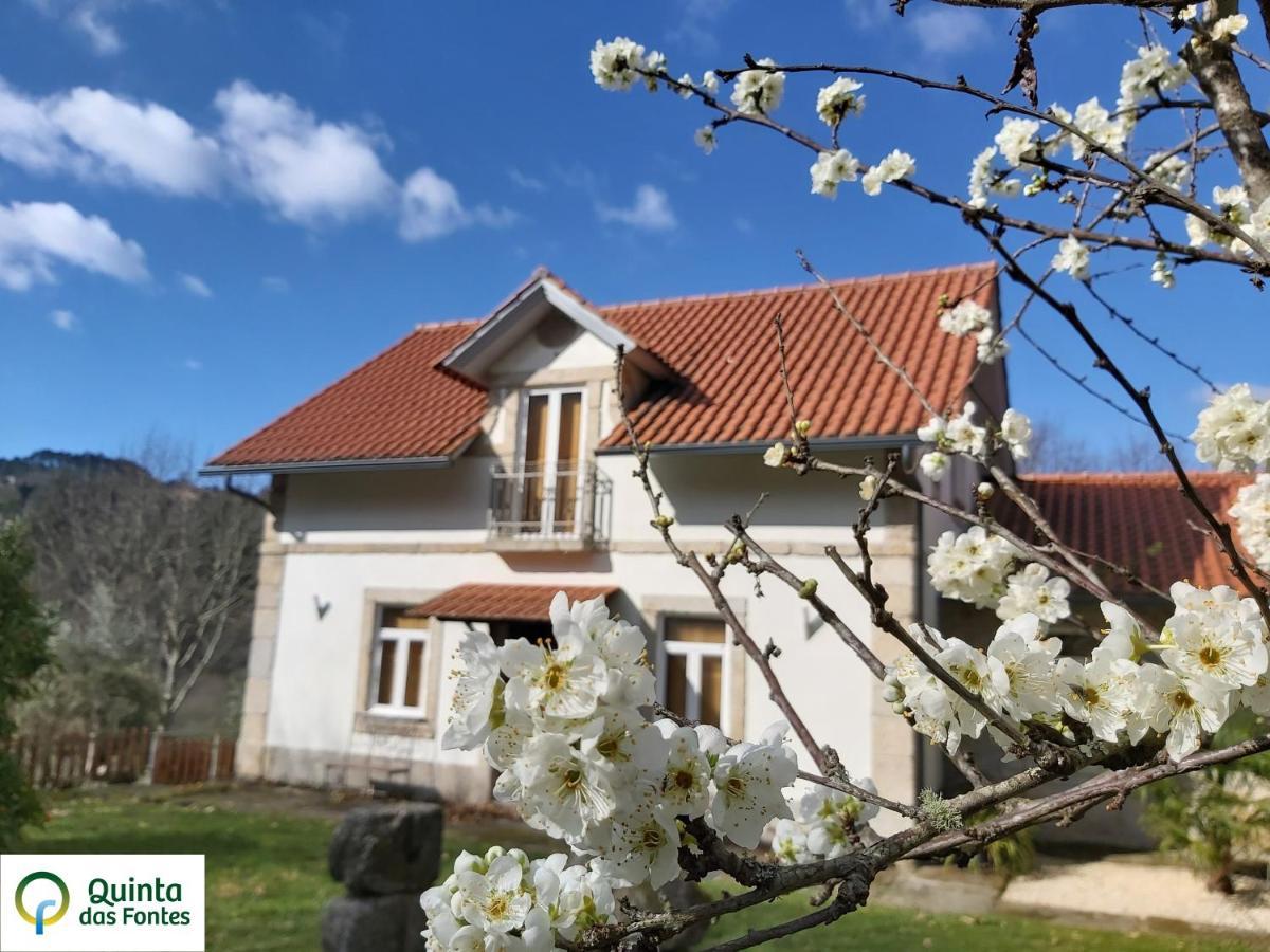 Quinta Das Fontes - Alojamento Rustico Local E Turismo Rural São Pedro do Sul Eksteriør billede