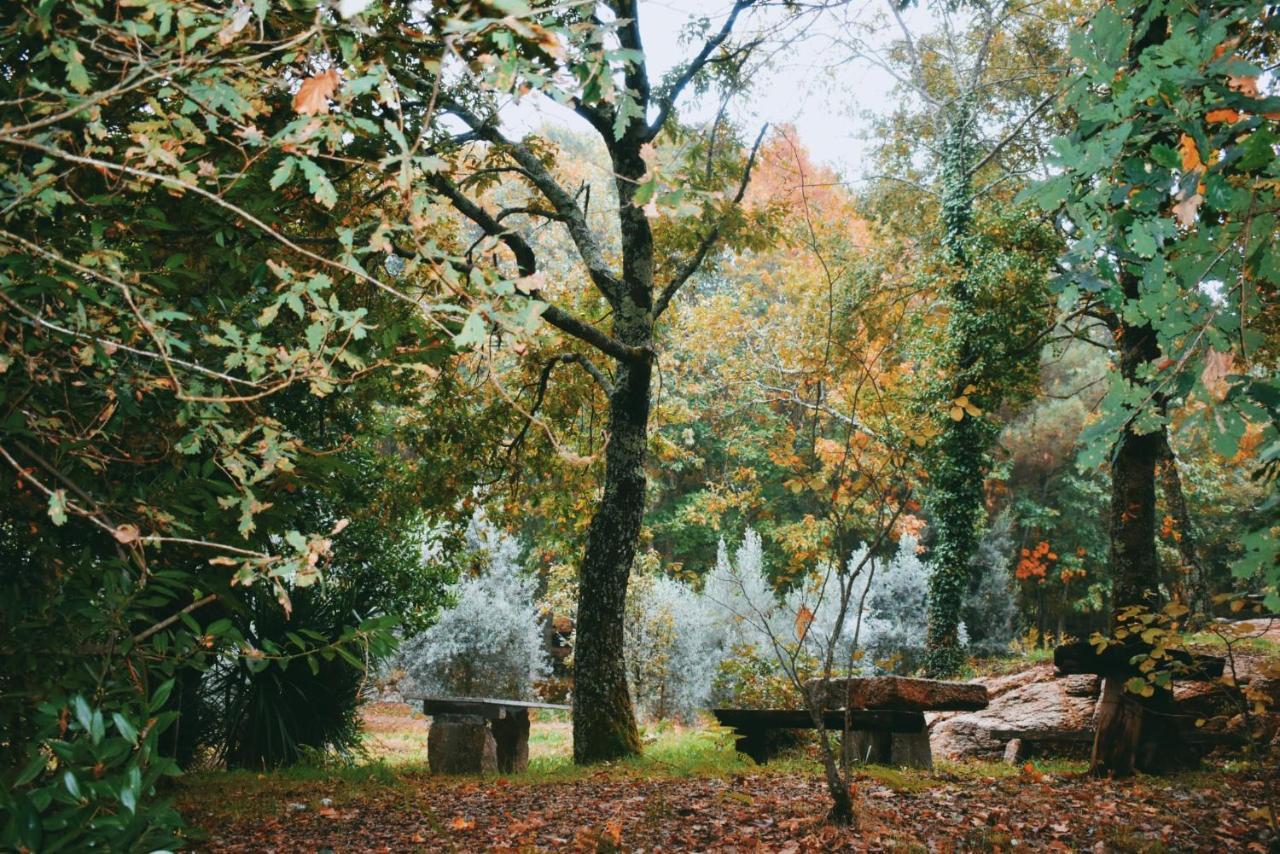 Quinta Das Fontes - Alojamento Rustico Local E Turismo Rural São Pedro do Sul Eksteriør billede