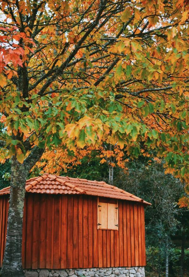 Quinta Das Fontes - Alojamento Rustico Local E Turismo Rural São Pedro do Sul Eksteriør billede