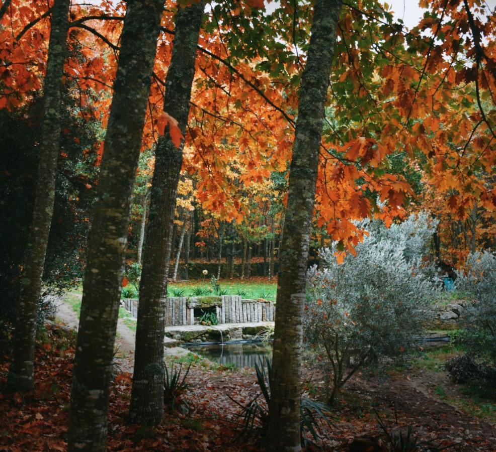 Quinta Das Fontes - Alojamento Rustico Local E Turismo Rural São Pedro do Sul Eksteriør billede