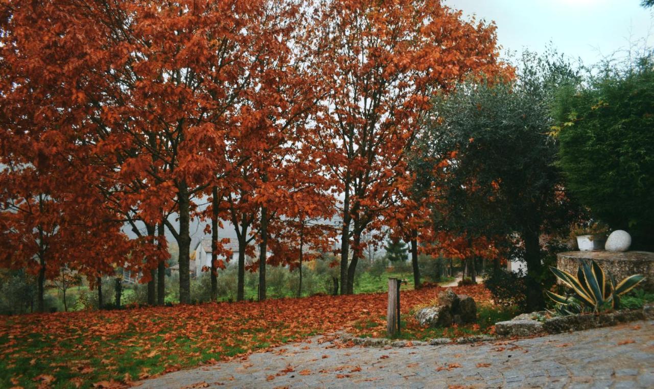 Quinta Das Fontes - Alojamento Rustico Local E Turismo Rural São Pedro do Sul Eksteriør billede