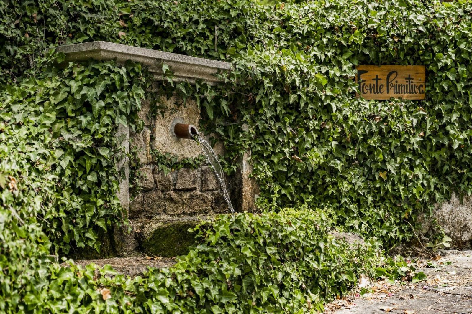 Quinta Das Fontes - Alojamento Rustico Local E Turismo Rural São Pedro do Sul Eksteriør billede